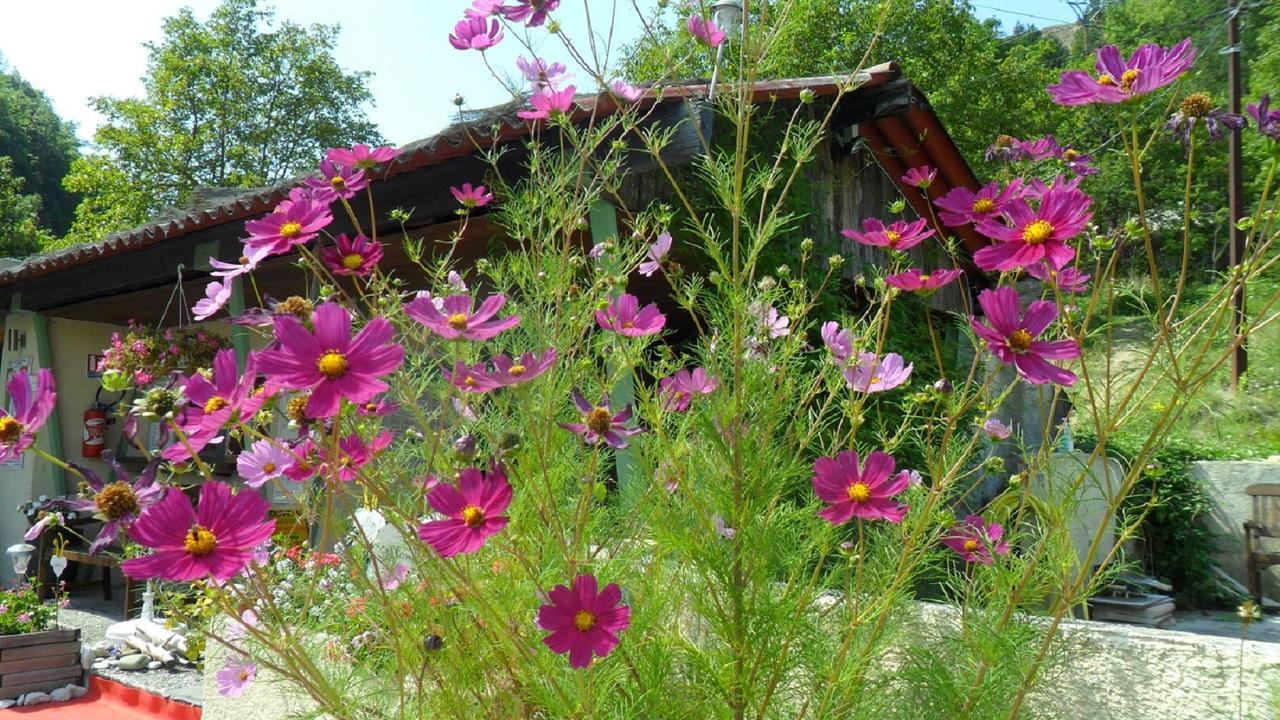 Camping Panoramique Du Verdon Castellane Ngoại thất bức ảnh